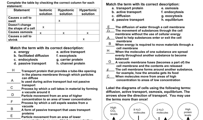 Pasando por el centro 3a-1 answer key