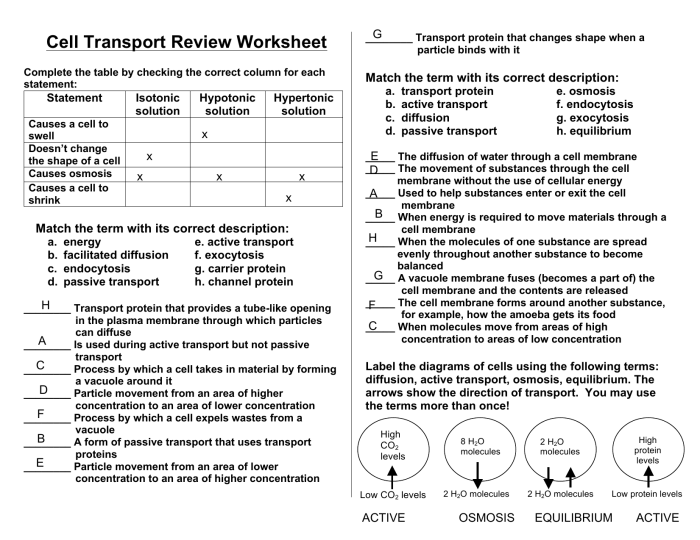 Pasando por el centro 3a-1 answer key