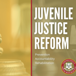 Juvenile justice commonlit answer key