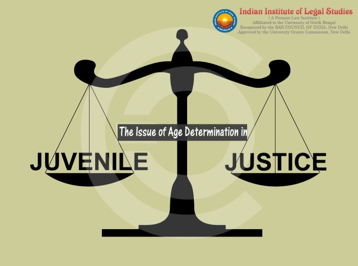 Juvenile justice commonlit answer key