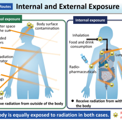 Radiation dose to the gonads may cause