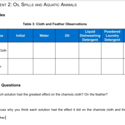 Experiment 2 oil spills and aquatic animals