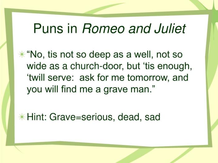 Juliet romeo act puns worksheet quiz study play type