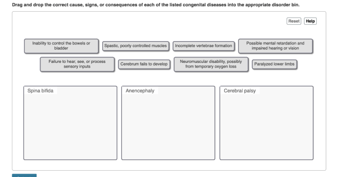 Drag the signs and symptoms under the correct disorder